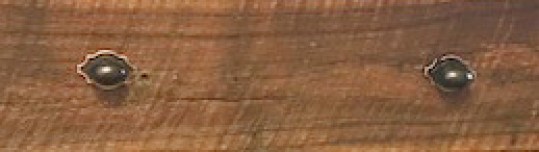 Gary preserves the handsome and original circular saw marks on many of his projects.